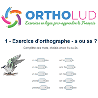 S Ou Ss Exercice D Orthographe En Ligne