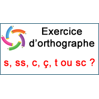 5 Exercice D Orthographe Le Son S S Ss C C T Ou Sc