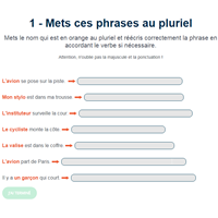 1 Mets Ces Phrases Au Pluriel