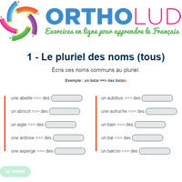 1 Exercice De Grammaire Le Pluriel Des Noms Tous