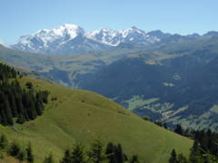 Exercice de lecture et de compréhension avec le Mont Blanc